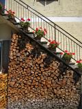 Trentino wood