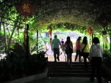 P6210062ES.jpg