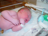 A Few Minutes Old