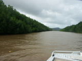 Daintree River (fishing)