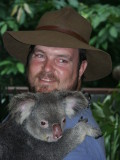 Hartleys Croc park - Koala