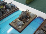 DSC00392.JPG