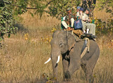 elephant ride 5.jpg