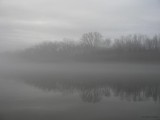 Foggy Reflection