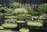 Longwood Gardens