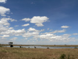 Serengeti