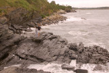 DSC_3574 A.jpg