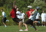 D2H_7638 A.jpg
