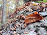 DSC00202.JPG