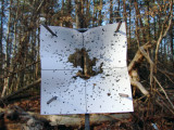 target 1.jpg