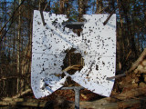 target 2.jpg