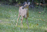 IMG_0567.jpg