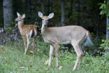 IMG_0579.jpg