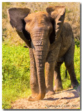 Day9LakeManyara_6870.jpg