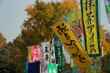DSC_0822.JPG