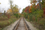 The old Coe Railroad Tracks