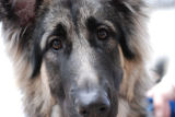 ds20060930_0003_w.jpg