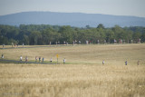 ds20070714-0315aw.jpg