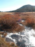 Ophir Creek