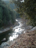DSCF5226.JPG