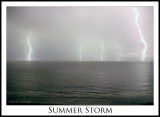 Summer Storm