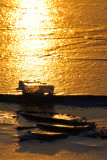 SUN GLACE