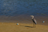 PLAGE CAMPING ABIJEVIS