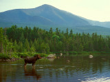 KATAHDIN / BAXTER / MAINE