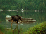 KATAHDIN / BAXTER / MAINE