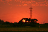 Pierre Joly PHOTOGRAPHE FocusNature