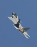 F22 Raptor M.jpg