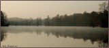 Misty Morning At Trap Pond