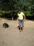 vem trobar uns porc i el Cris va decidir donar-lis un tros de pa dur que duiem... i el van comenar a perseguir!!!
