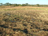 04 Sat. May 20 2006 017.jpg