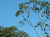 19 Mon June 5 2006 019.jpg
