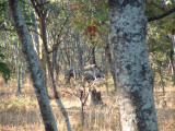 23 Sat June 10 2006 025.jpg