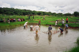 Molre seining.JPG