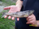 100_0248.jpg