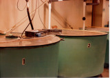 Circular fiberglass tanks with automatic feeders.jpg