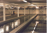 Basement raceways.jpg