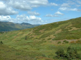 Looking north