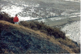 Shannon and Dall sheep at Polychrome pass.jpg