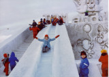 Snow slide 1.jpg