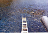 Steep pass with pink salmon waiting to come up.jpg