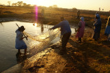 Mariachiedza near Chegutu, Zimbabwe, AFRICA