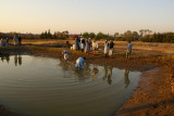 Mariachiedza 2007 072.jpg