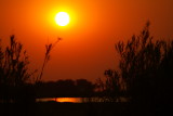 C sunset 1.JPG