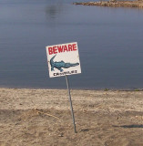 Crocs beware a.jpg