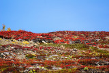 DSC01708.JPG