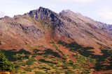DSC01721.JPG